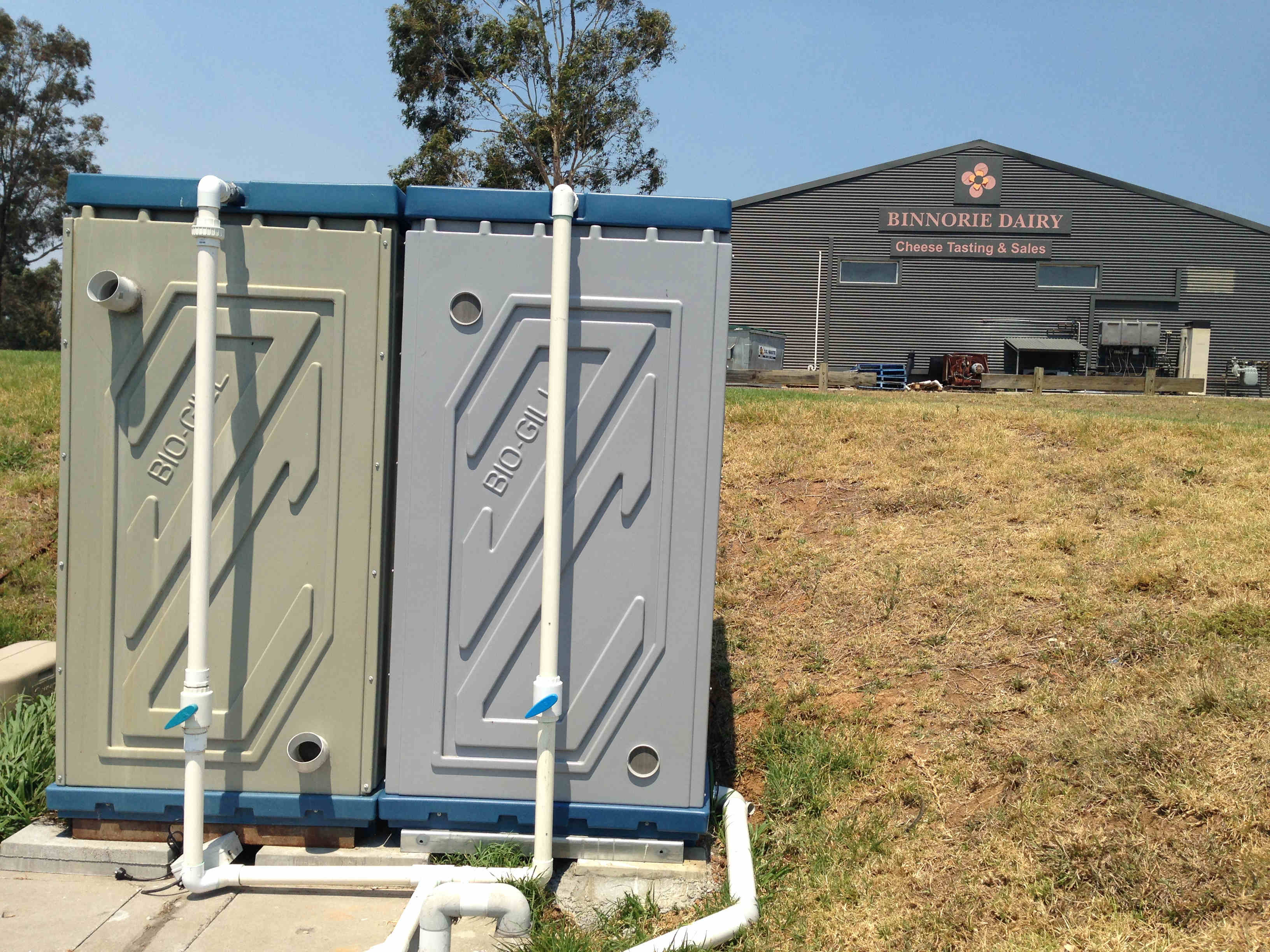 Bioreactors reduce odor at cheese factory